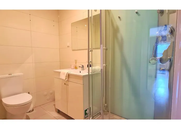 Apartment Bolhao Elegance