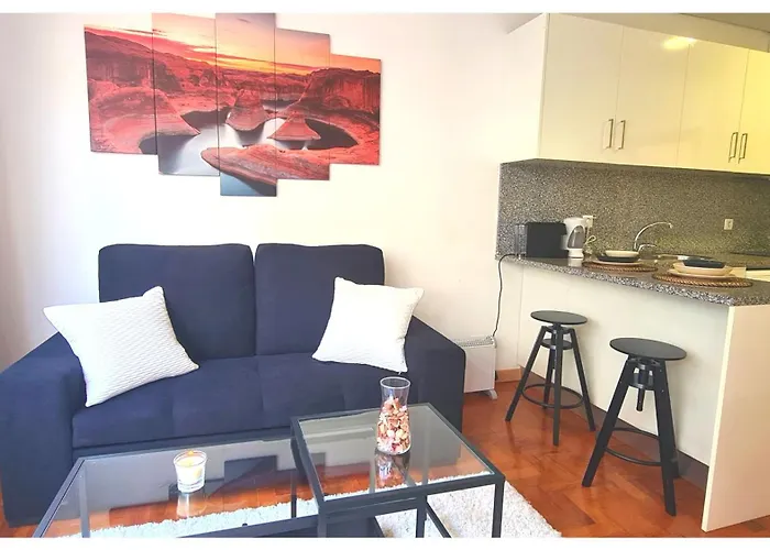 Bolhao Elegance Apartment *