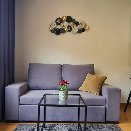 Bolhao Elegance Apartmán *