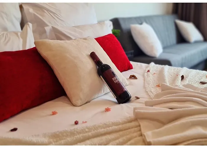 Bolhao Elegance Apartamento