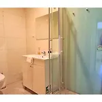 Apartament Bolhao Elegance