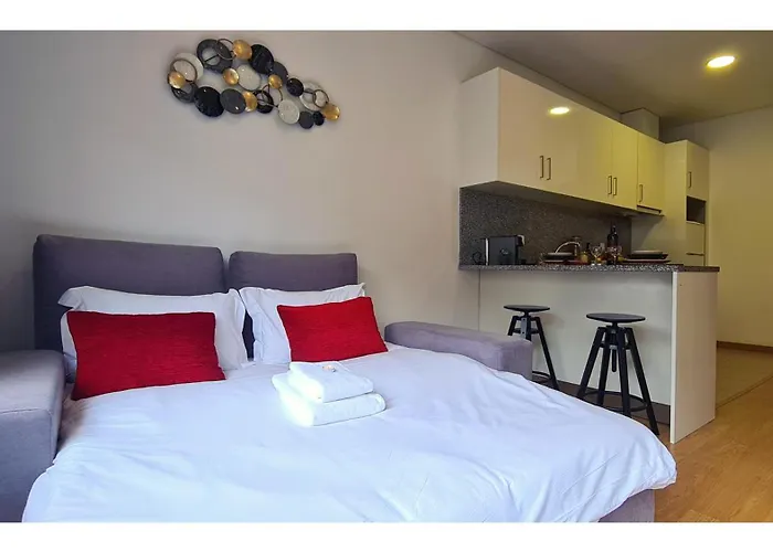 Appartamento Bolhao Elegance